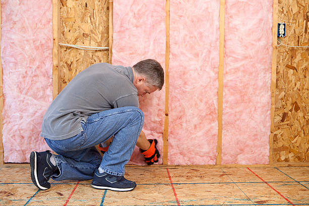 Best Specialized Insulation Services in Leisuretowne, NJ