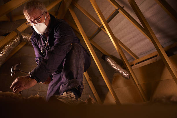 Best Geographic-Specific Insulation Services in Leisuretowne, NJ